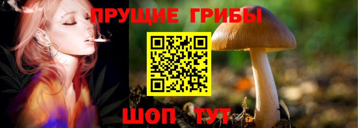 где найти наркотики  Вход с VPN  Когалым  Галлюциногенные грибы ЛСД 